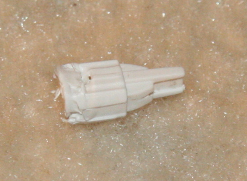 fuse bulb base